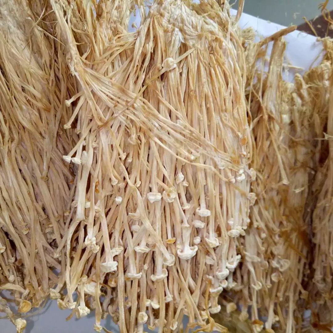 金针菇干货 无硫加工的食用菌臻品，酒店与工厂的首选采购方案