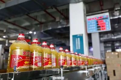龙头企业频落户,前海大宗商品如何筑"压舱石"?